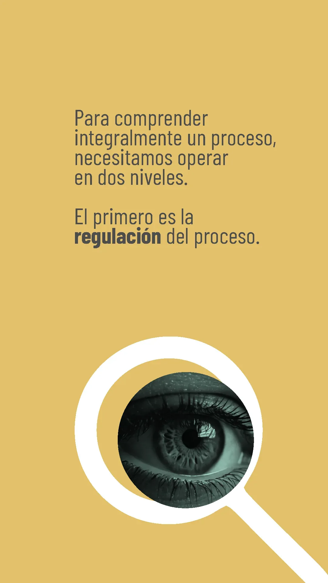 Lámina 2 de 8. Para comprender integralmente un proceso necesitamos operar en dos niveles. El primero es la regulación del proceso.