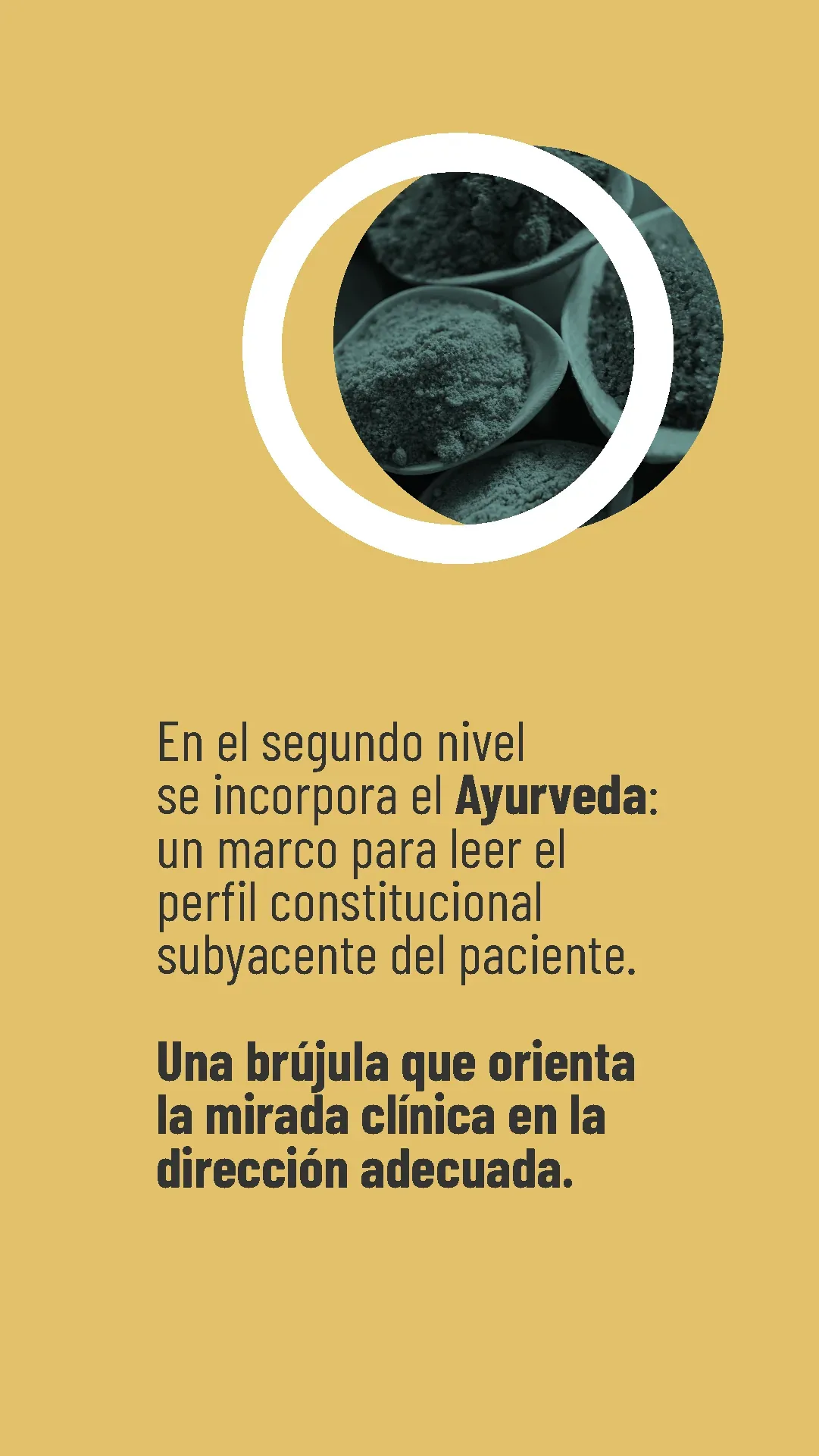 Lámina 6 de 8. En el segundo nivel se incorpora el Ayurveda como marco para leer el perfil constitucional subyacente del paciente.