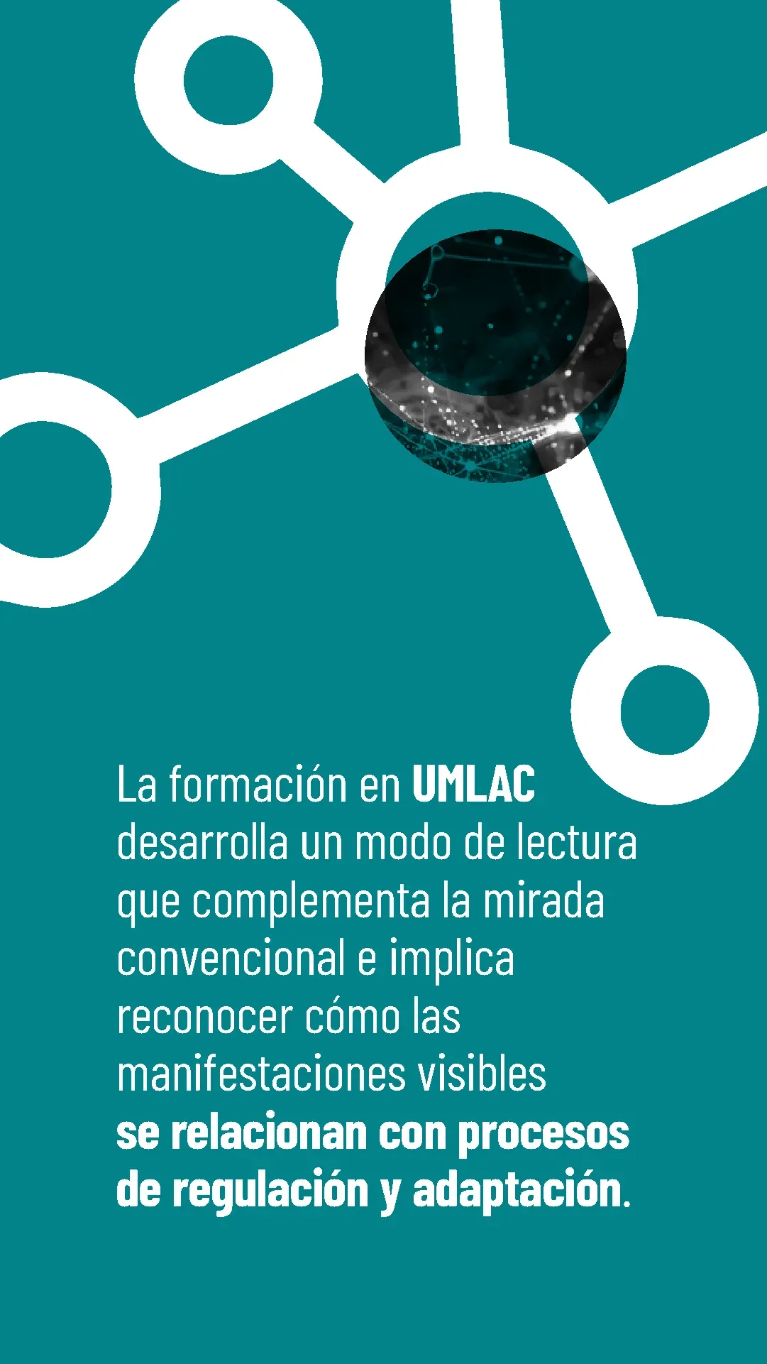 Lámina 5 de 6. La formación en UMLAC desarrolla un modo de lectura que complementa la mirada convencional: reconocer cómo las manifestaciones visibles se relacionan con procesos de regulación y adaptación.