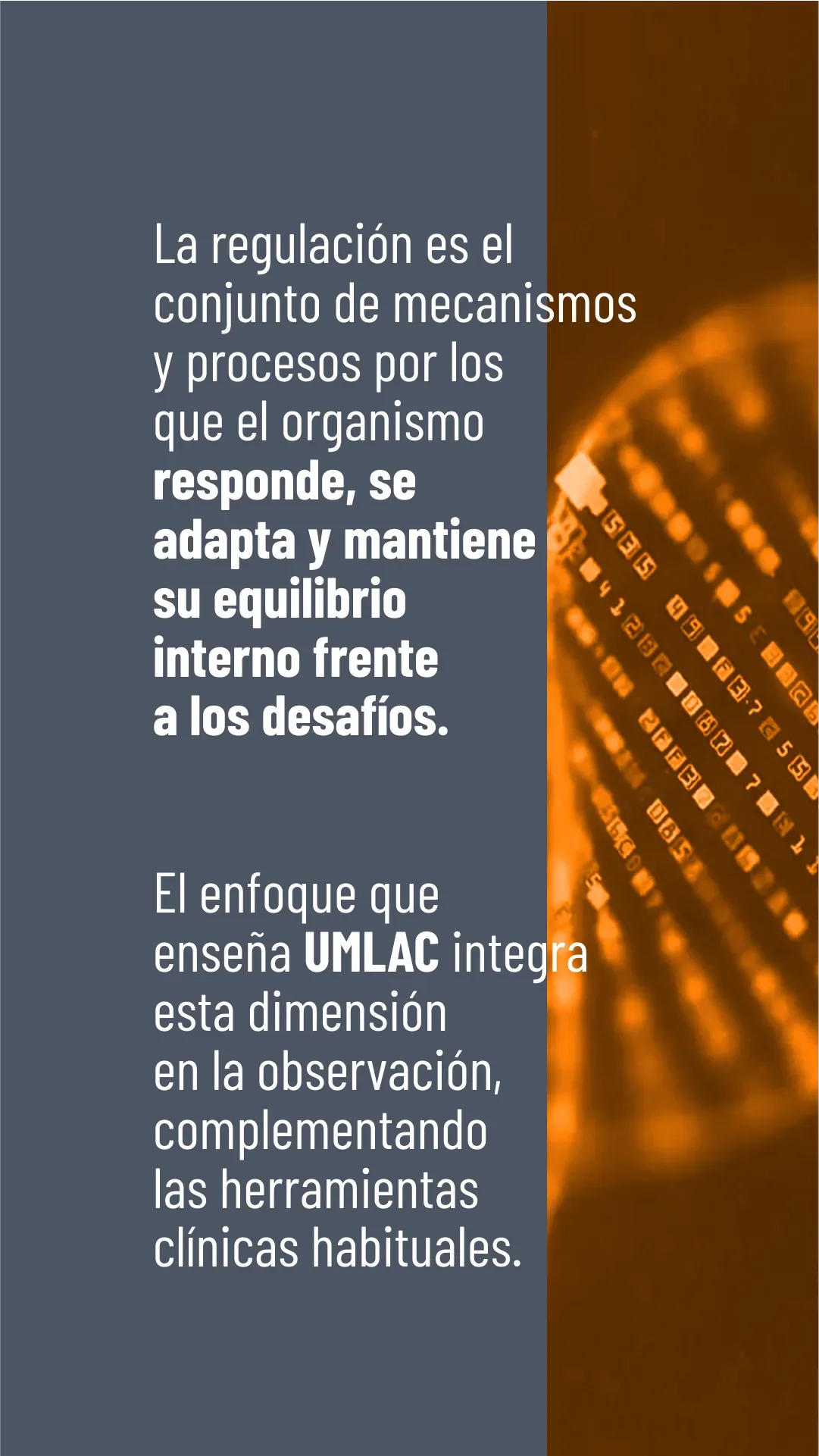 Lámina 6 de 7. El enfoque que enseña UMLAC integra esta dimensión en la observación, complementando las herramientas clínicas habituales.
