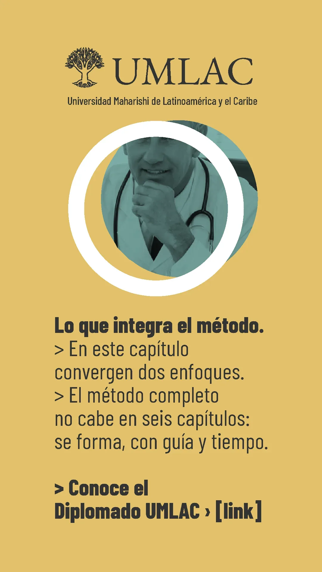Lámina 8 de 8. En este capítulo convergen dos enfoques. El método completo se forma con guía y tiempo.