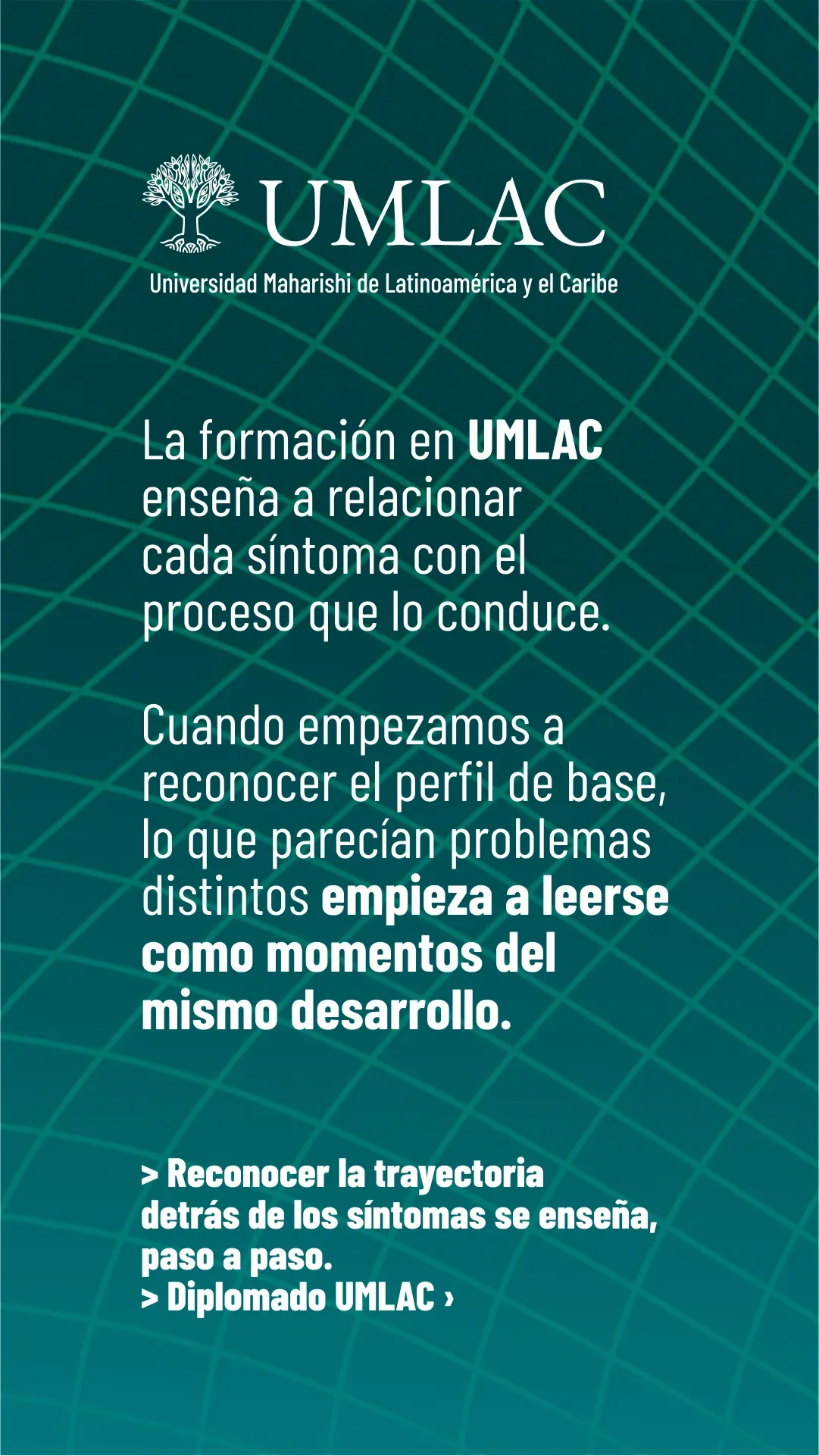 Lámina 6 de 6. Cuando empezamos a reconocer el perfil de base, lo que parecían problemas distintos empieza a leerse como momentos del mismo desarrollo.