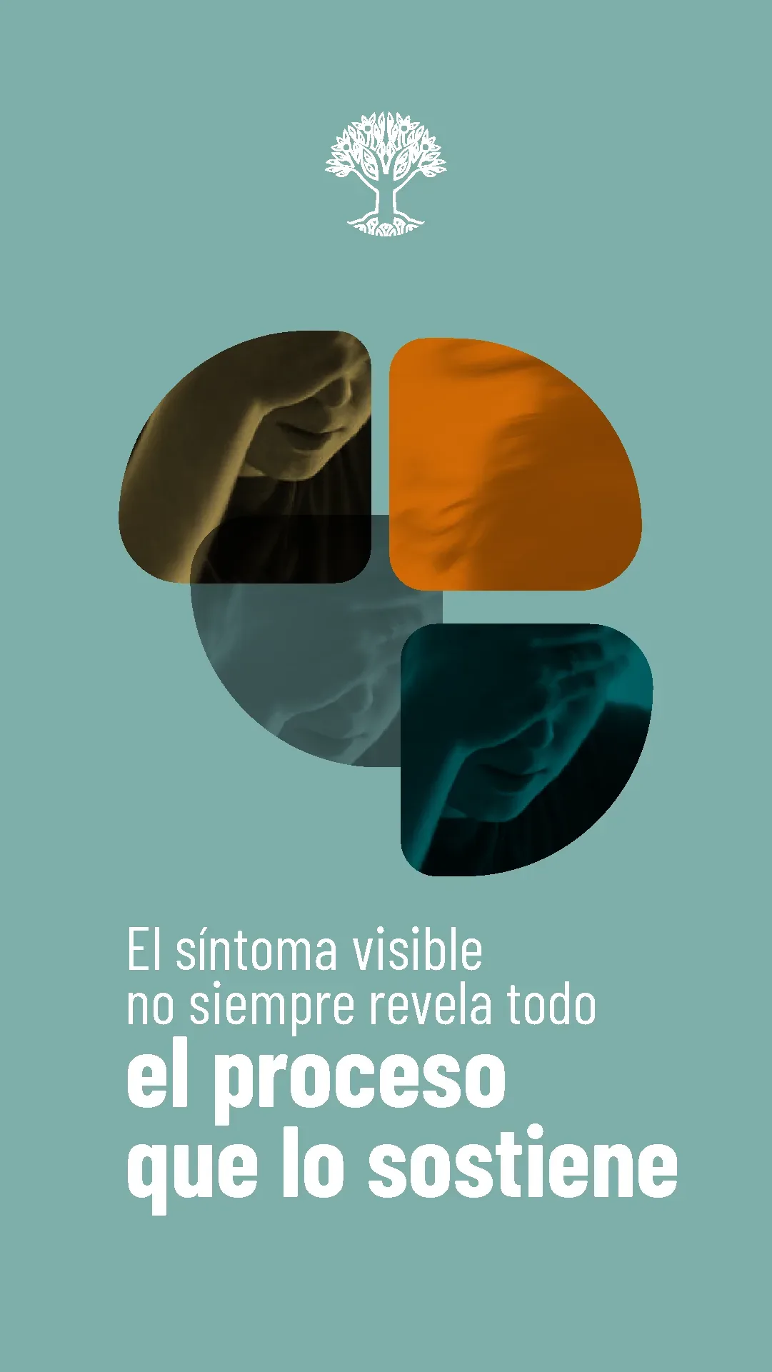 Lámina 1 de 6. El síntoma visible no siempre revela todo el proceso que lo sostiene.
