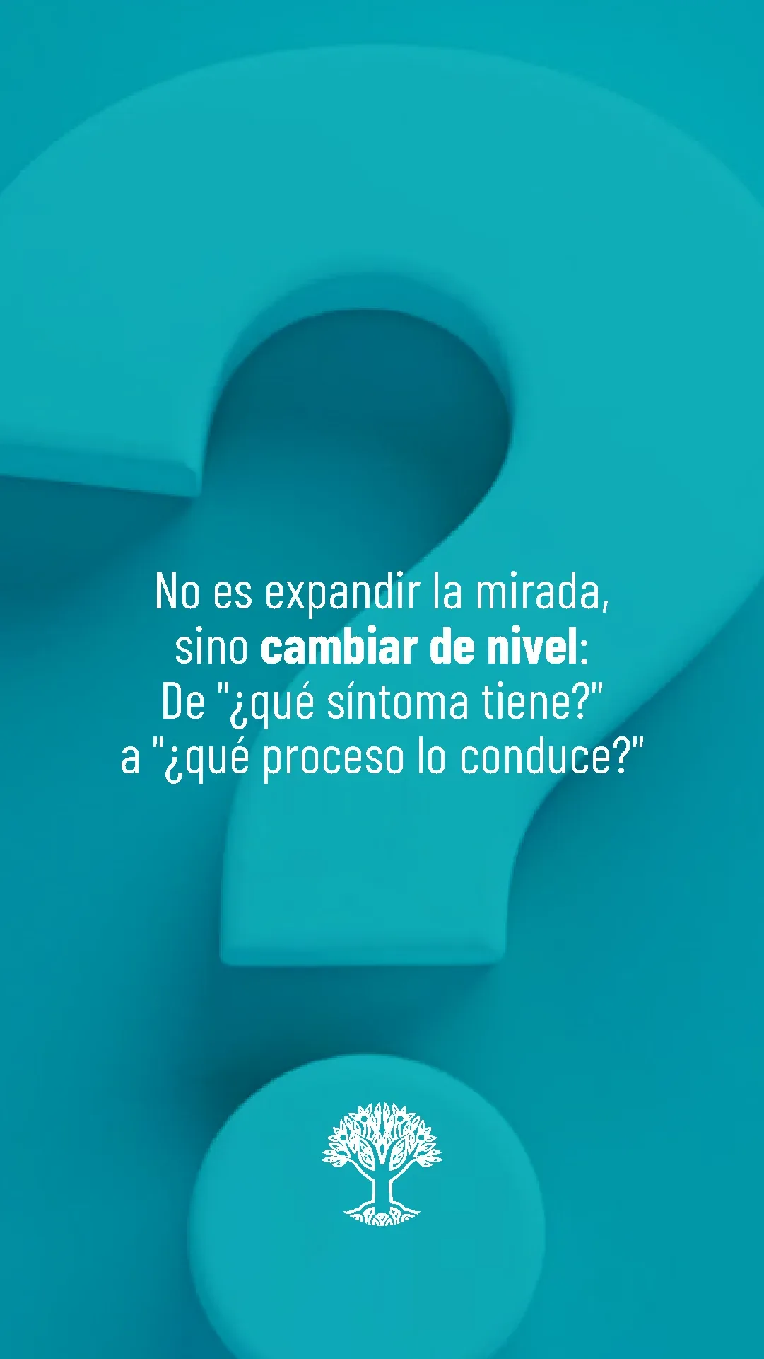 Lámina 5 de 6. No es mirar más alrededor, sino cambiar de nivel: de «¿qué síntoma tiene?» a «¿qué proceso lo conduce?».