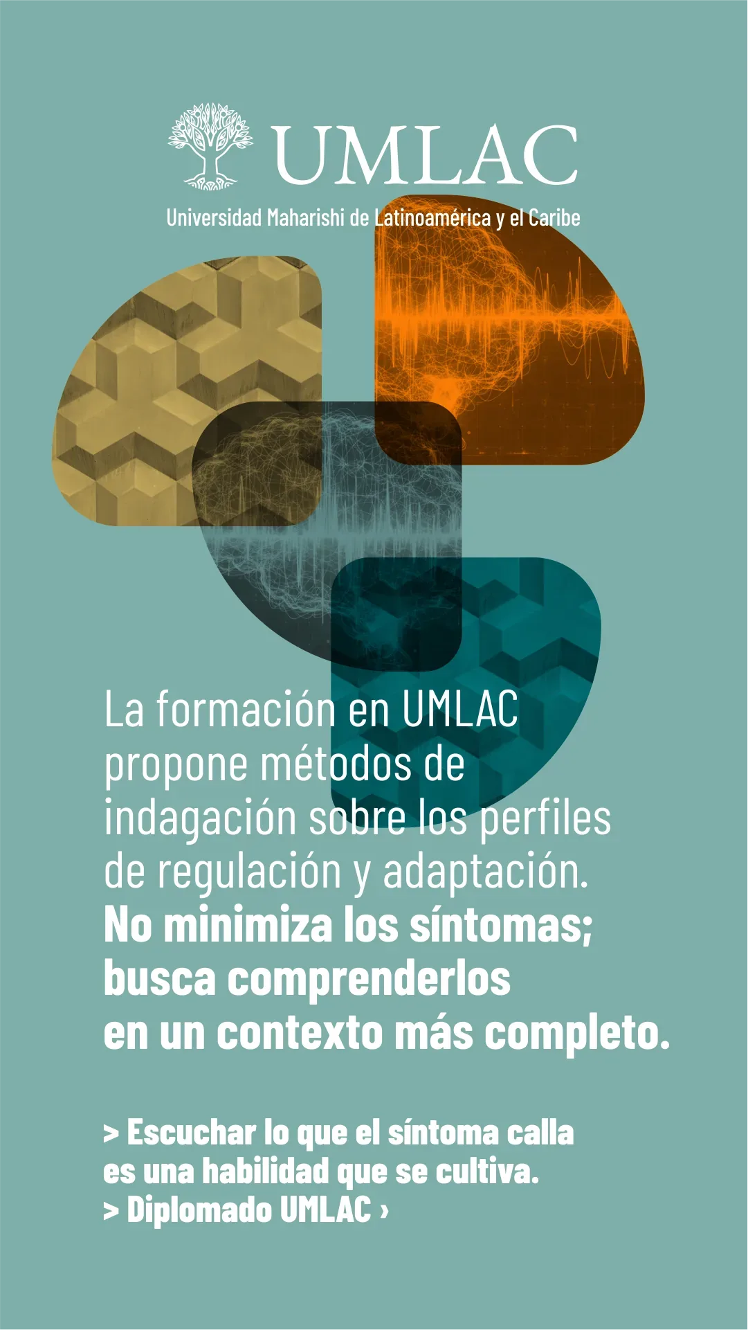 Lámina 6 de 6. La formación en UMLAC propone métodos de indagación sobre los perfiles de regulación y adaptación. No minimiza los síntomas; busca comprenderlos en un contexto más completo.