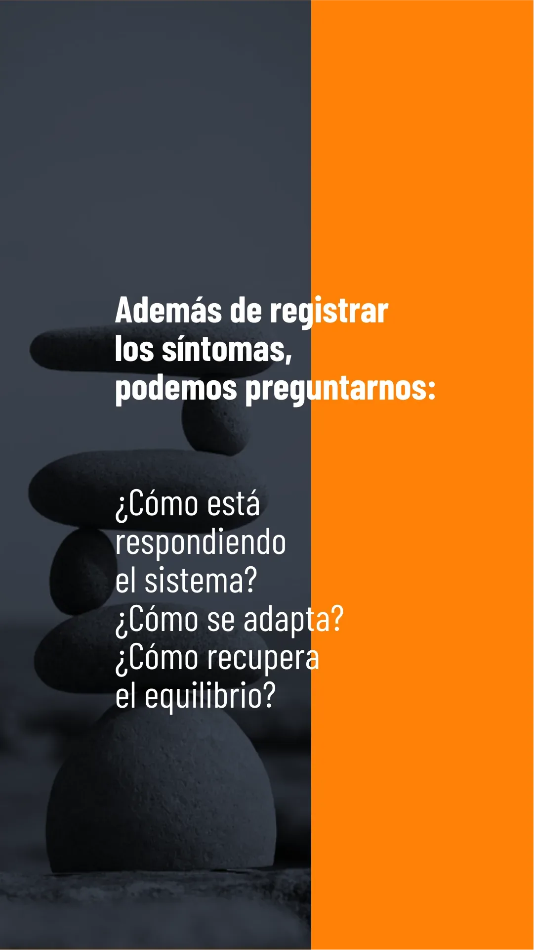 Lámina 5 de 7. La regulación reúne los mecanismos y procesos por los que el organismo responde, se adapta y mantiene su equilibrio interno frente a los desafíos.