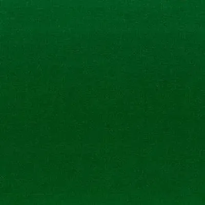 Tissu d'ameublement OTTO 100% lin naturel vert forêt, Textile uni, résistant (26000 Martindale), thermorégulateur.